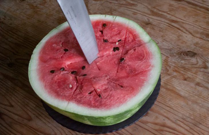 vodní meloun