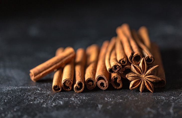 Cinnamon Compressed.jpg