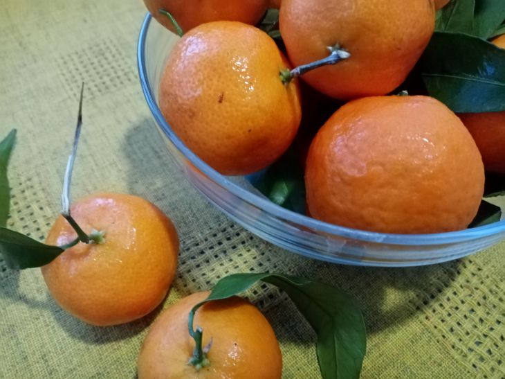 Mandariny 0.jpg